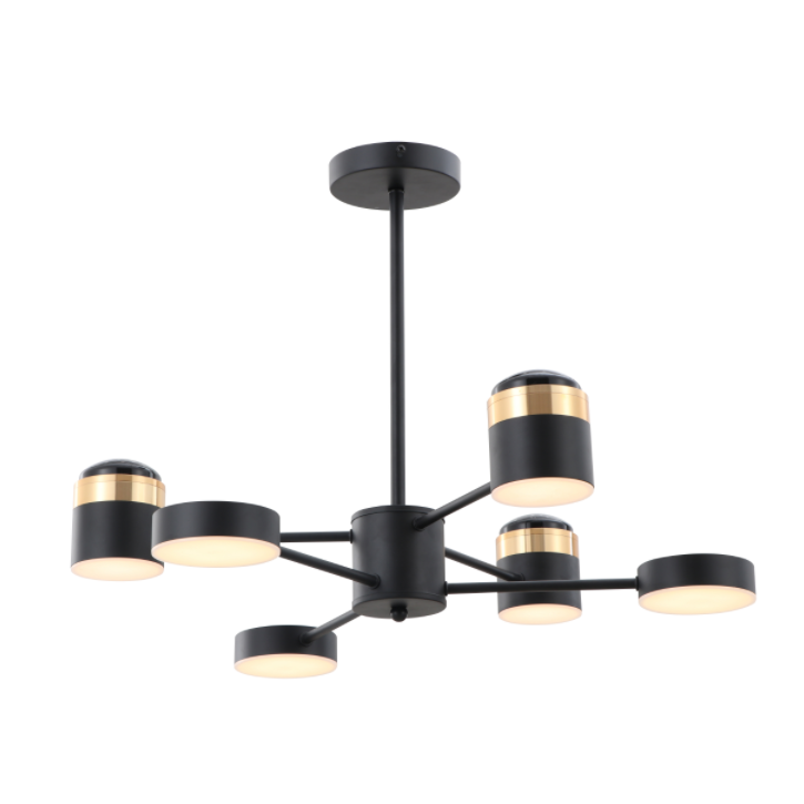 Matte schwarze Hochspannungs-LED 3000k Deckenlampe